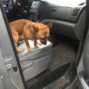 청평동물병원 이미지