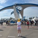 푸마포항 | 해안도로를 달리는 영덕해변전국마라톤대회 하프 완주 후기