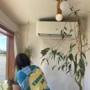 세모집 제주 이미지