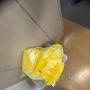 급하게 이사가야한다면? 이거부터 체크하자