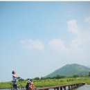 고달리다리 이미지