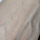 허브라인 | 매끈모공 관리- 이 조합 괜찮았어요 네시픽 프레시 허브 오리진 키트 5종 솔직 후기