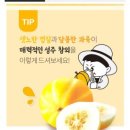 성주 이미지