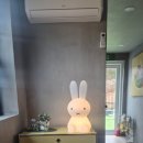 머물다 주도 이미지