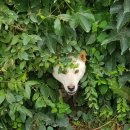 용설호문화마을 이미지