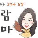 강보람고구마 이미지