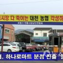 대천농협하나로마트 뉴스스토리
