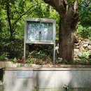 새구봉천 네이버블로그