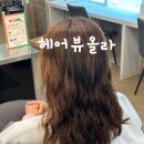 헤어뷰올라 이미지