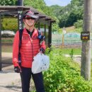 문의초 구룡분교 이미지