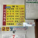 보성 만두 맛집 신바람난찐빵손만두