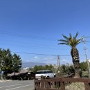 천지연랜드식당 이미지