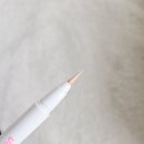 리얼라이너 | 다이소 애교살 라이너 (베이지) 써봤어요! 리얼 사용 후기