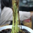 송가네 반점