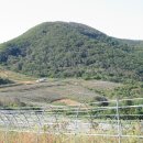 옥산농장 이미지