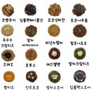 포스쿠