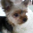 신내1동-010 이미지