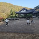 기쁨샘 | 우리들 자연학교 11월 1주 차 토요일 주말 숲학교 앵두샘반 수업 후기