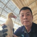 해상농장 이미지