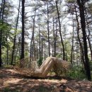 자연으로Ⅰ 이미지