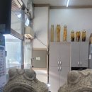 박가네칼국수 네이버블로그