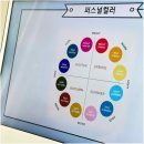 나만의 퍼스널컬러를 찾아서 이미지