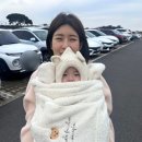 제주뮤지엄컴플렉스(주) | 제주 서귀포 가볼만한 곳, 6개월 아기랑 오설록 티 뮤지엄 방문 후기 및 메뉴 추천