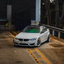 F80 티스토리