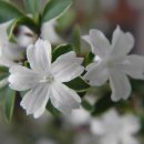 소사는집 이미지