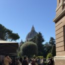 아테네안경 | 바티칸 미술관 가이드 투어 후기 (7시간 소요 가격)