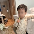 햇볕은쨍쨍어린이집 | 22개월 아기랑 삿포로 여행 2일차(1)_토리톤 스시, 삿포로 맥주박물관, 세이코 알피니스트 시계 구매