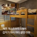 제주도파티게스트하우스틴더타운 | 제주동쪽게스트하우스 구주택 포틀럭파티 후기