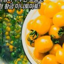 황금농약사 이미지