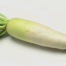 헤어닥터 이미지