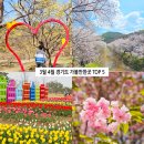 남종면 제청말길 12 | 3월 국내 여행지 추천 4월 경기도 가볼만한곳 꽃구경 명소 산수유 벚꽃 튤립
