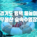 (재)평택시무봉산청소년수련원수영장 | 경기도 물놀이 평택 무봉산숲속수영장 주말후기 오픈런 줄서기 준비물 총정리