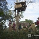 코끼리 환경 이미지