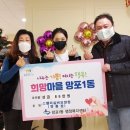 실버스텔라