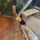 작은 동물원 이미지