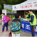 국유림(관) 이미지
