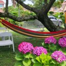 제주올레하우스2 이미지