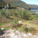 충도리농장 이미지