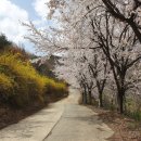 덕인노인전문요양원 | 경산요양원 어르신들의 행복한 노후를 책임지는 믿음직한 요양시설 덕인노인전문요양원