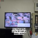 미남초등학교 티스토리