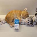 클린아이 이미지