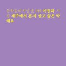 비블리 이미지