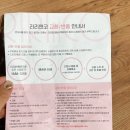 신디즈