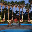 코코스협재 이미지