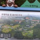 지리산 유평계곡 무재치기 폭포 산행 이미지