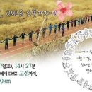오시라 이미지